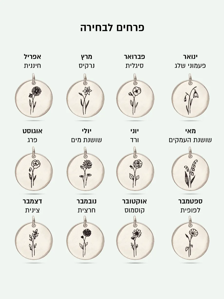 שרשרת פרח חודש הלידה כסף בציפוי רודיום בשילוב דיסקית קטנה — תצלום נוסף